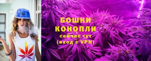 ГАЛЛЮЦИНОГЕННЫЕ ГРИБЫ Белоозёрский