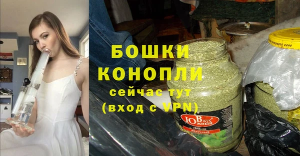 ГАЛЛЮЦИНОГЕННЫЕ ГРИБЫ Белоозёрский