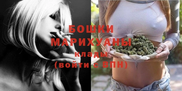 apvp Богородицк